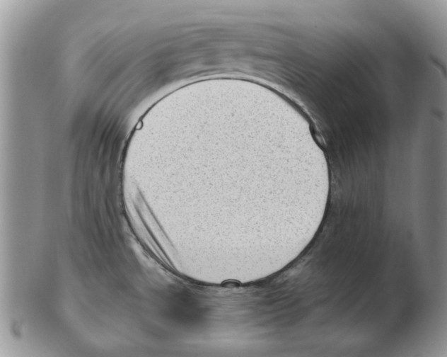 X0000102761534200809151003