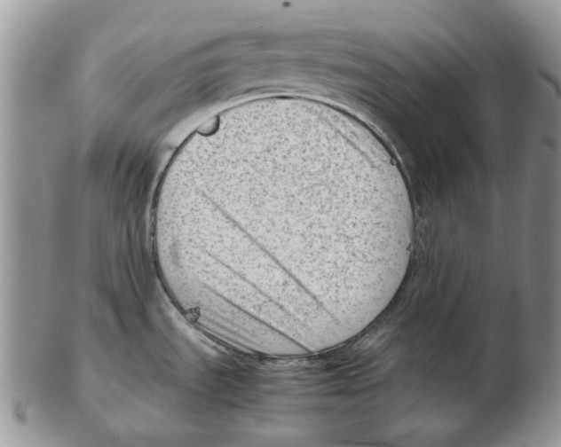 X0000102761535200809151003