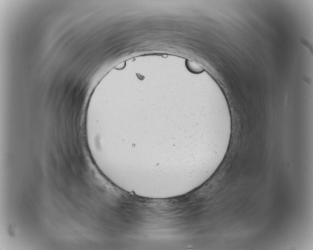 X0000102761536200809151003