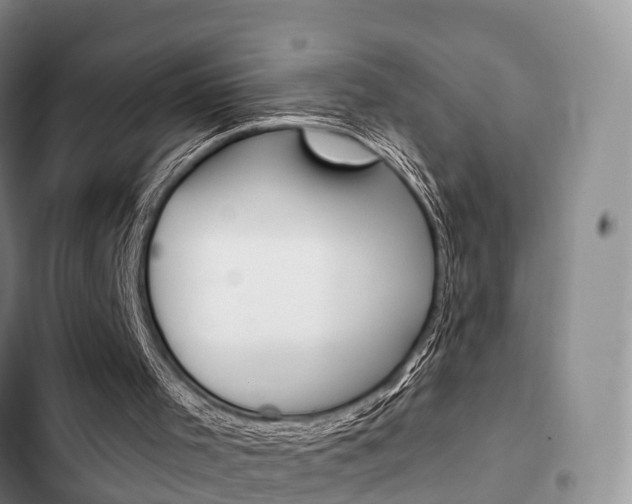 X0000102770001200808181005