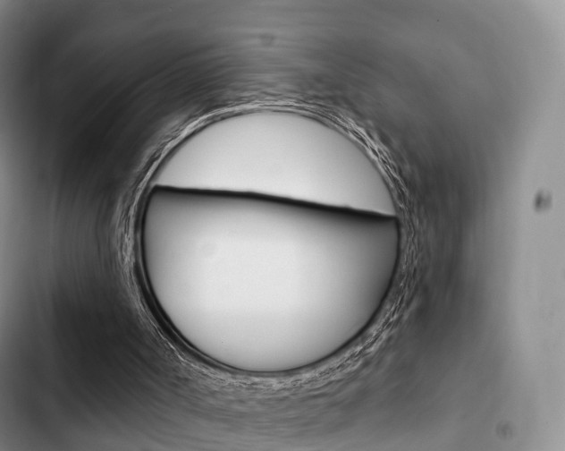 X0000102770002200808181005