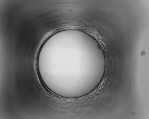X0000102770003200808181005