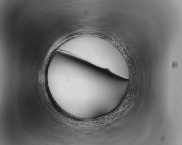 X0000102770004200808181005