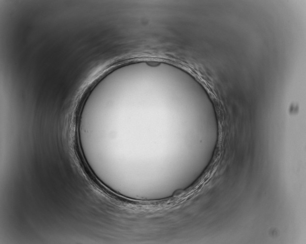 X0000102770005200808181005