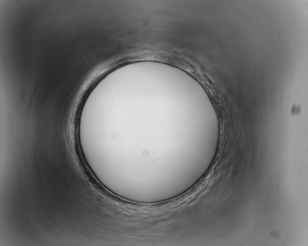X0000102770006200808181005
