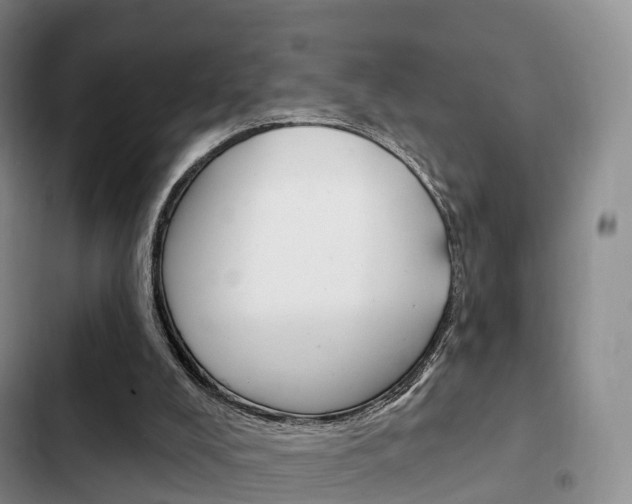 X0000102770008200808181005