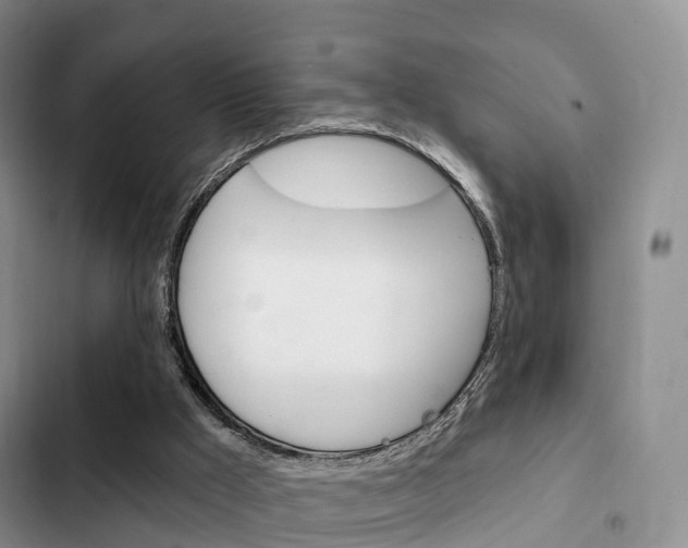 X0000102770009200808181005
