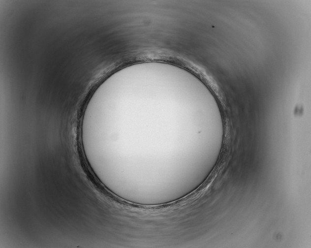 X0000102770010200808181005