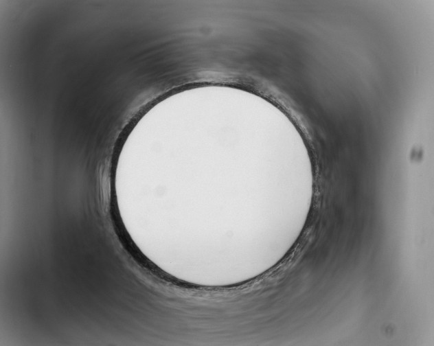 X0000102770011200808181005