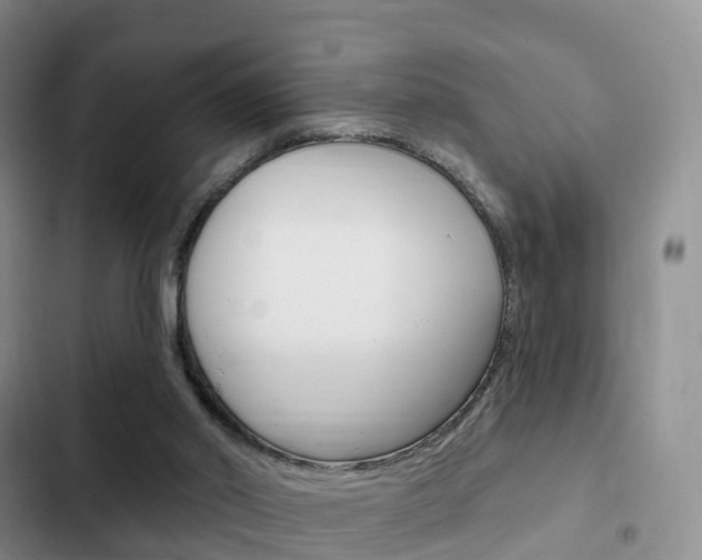 X0000102770014200808181005