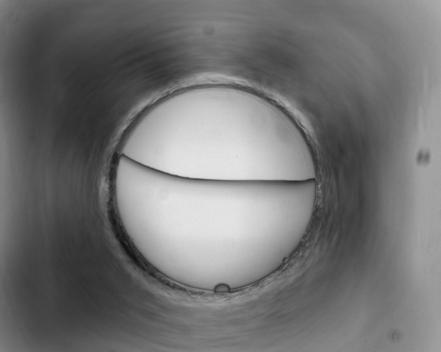 X0000102770015200808181005