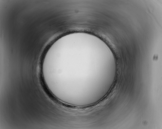 X0000102770016200808181005