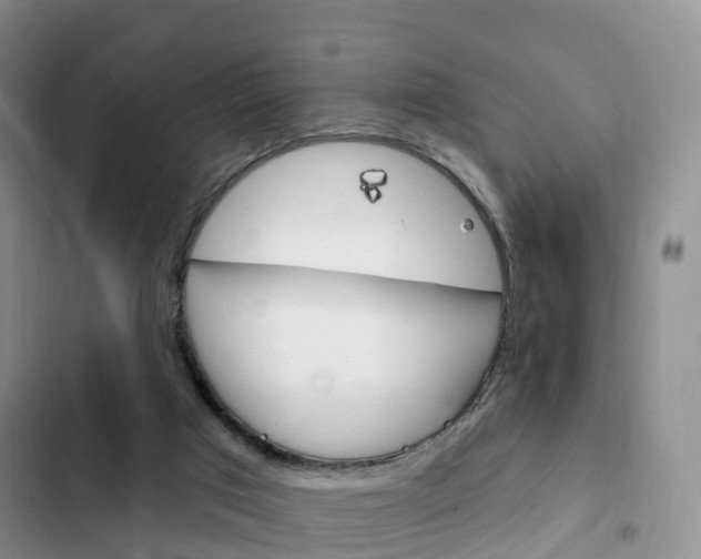X0000102770017200808181005