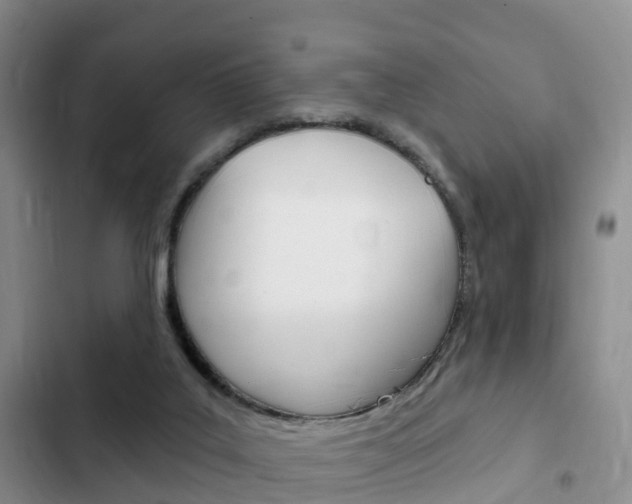 X0000102770019200808181005