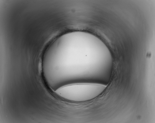 X0000102770020200808181005