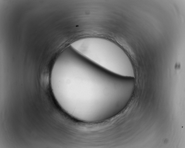 X0000102770021200808181005