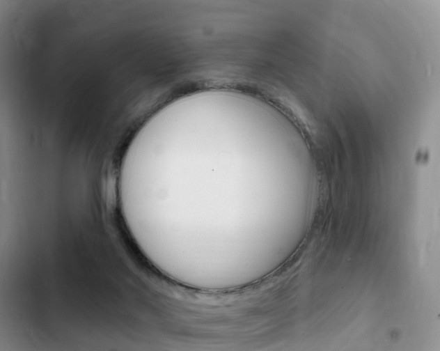 X0000102770022200808181005