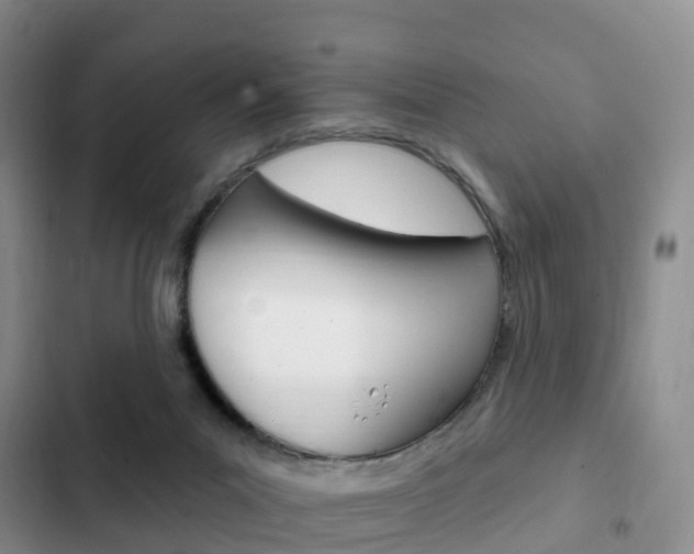 X0000102770023200808181005