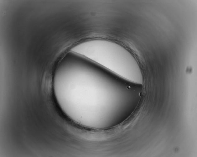 X0000102770024200808181005