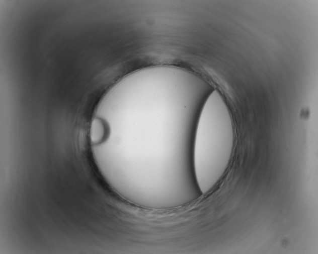 X0000102770026200808181005