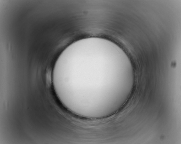 X0000102770028200808181005