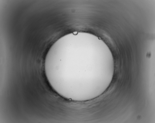 X0000102770029200808181005
