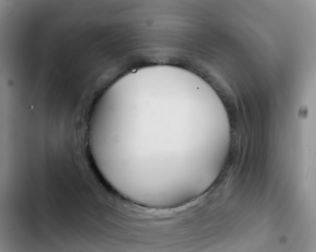X0000102770031200808181005