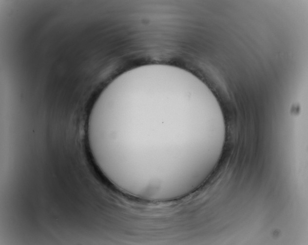X0000102770032200808181005
