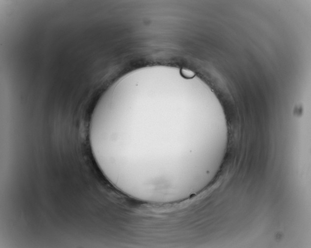 X0000102770033200808181005