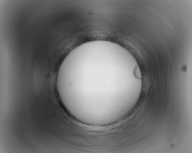X0000102770034200808181005