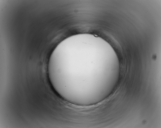 X0000102770035200808181005