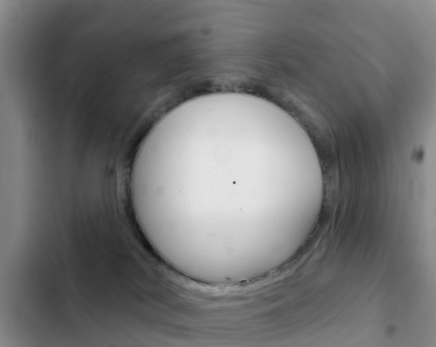X0000102770038200808181005