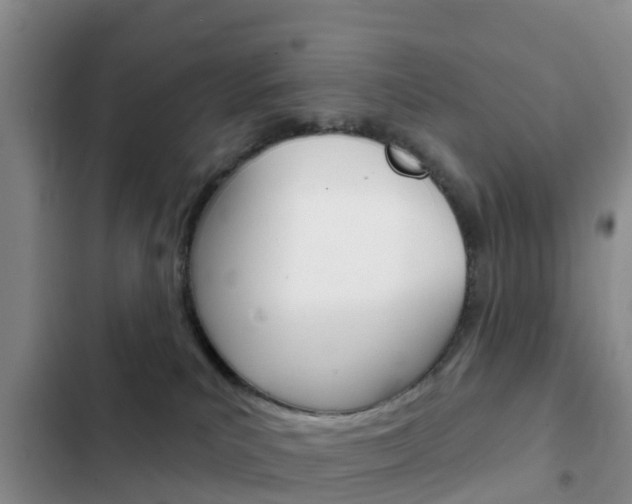 X0000102770039200808181005
