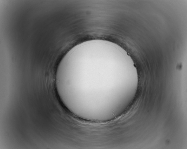X0000102770040200808181005