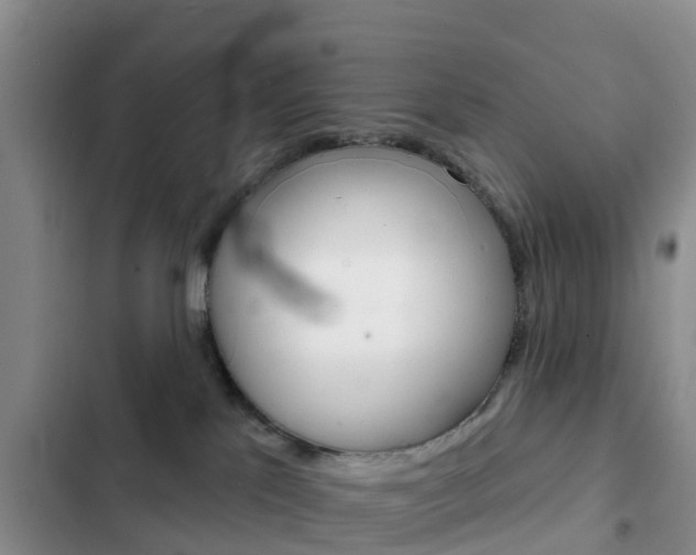 X0000102770041200808181005