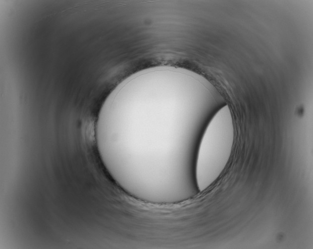 X0000102770042200808181005