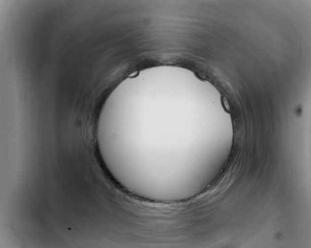 X0000102770044200808181005