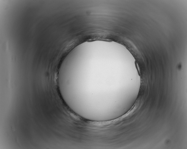 X0000102770045200808181005