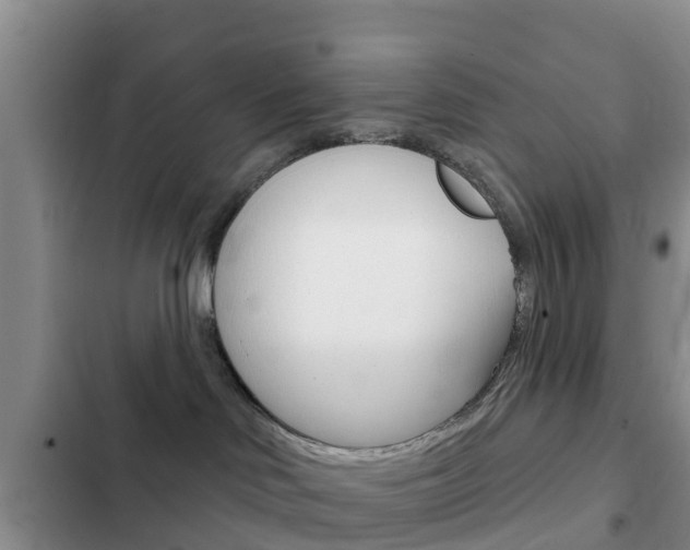 X0000102770046200808181005