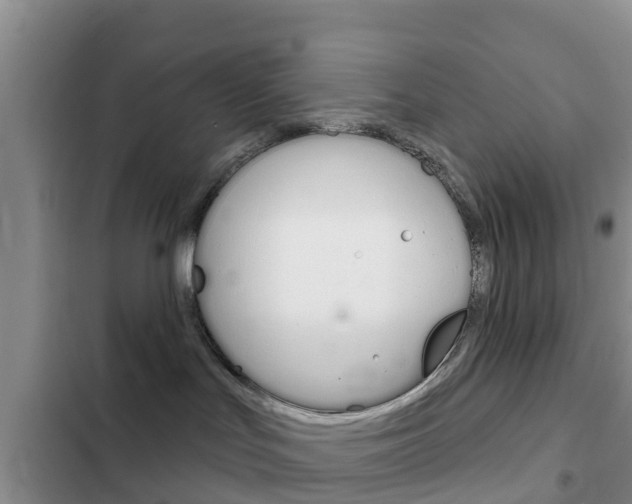 X0000102770047200808181005