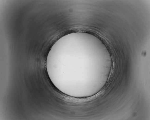 X0000102770048200808181005