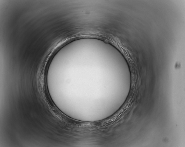 X0000102770050200808181004