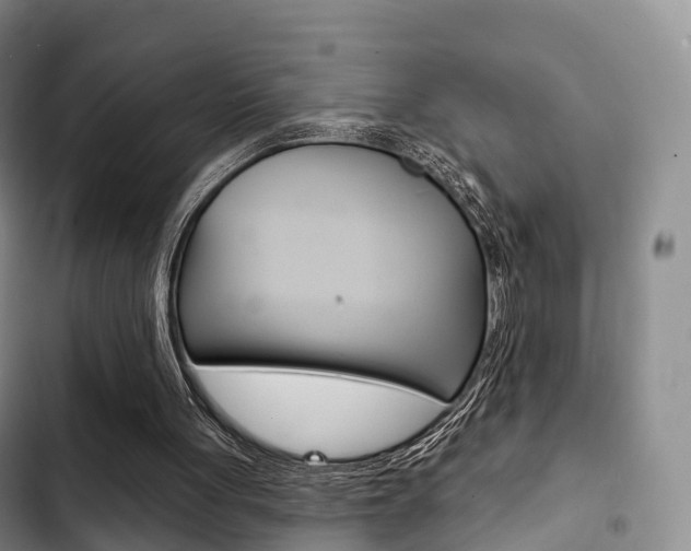 X0000102770051200808181004