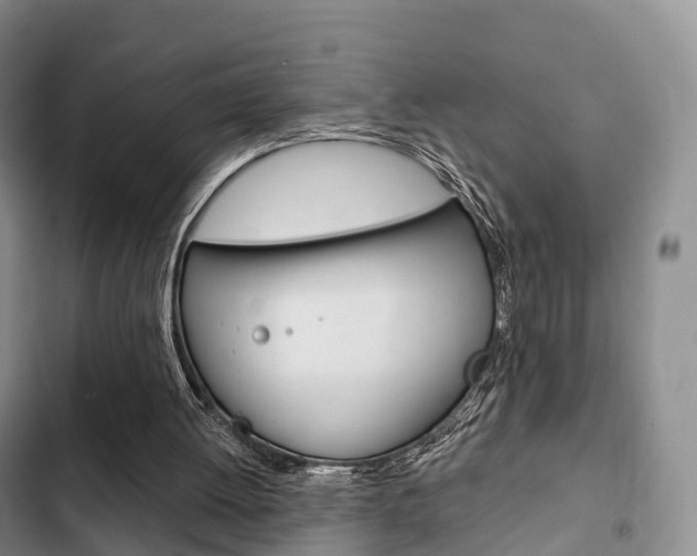 X0000102770052200808181004