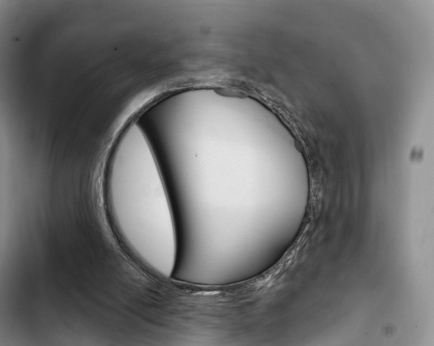X0000102770054200808181004