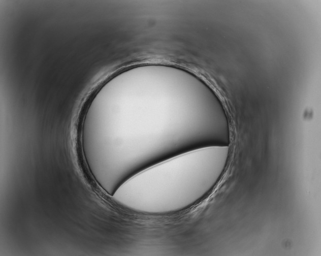 X0000102770055200808181004