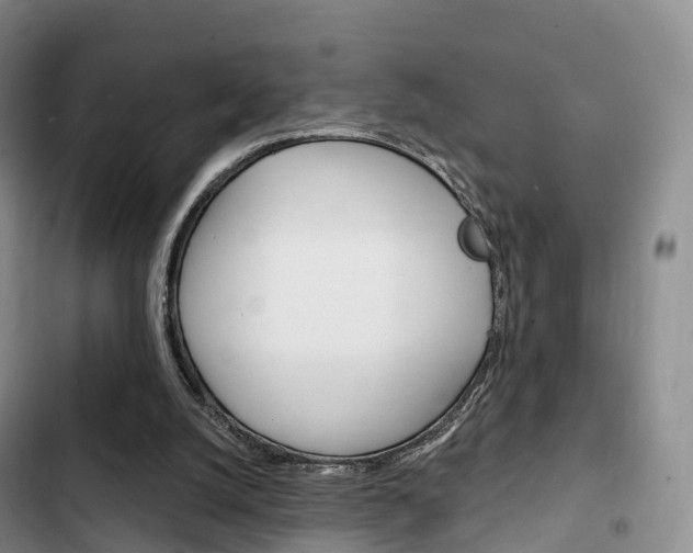 X0000102770056200808181004