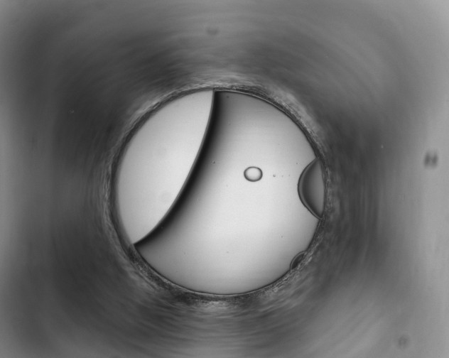 X0000102770058200808181004