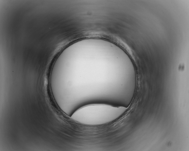 X0000102770059200808181004
