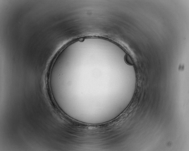 X0000102770060200808181004